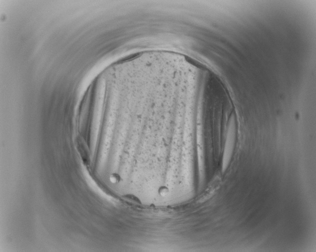 X0000051891528200507151925