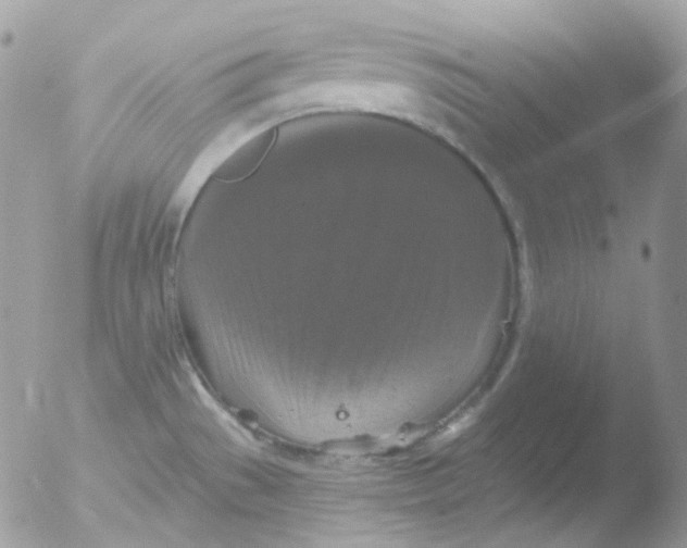 X0000051891529200507151925