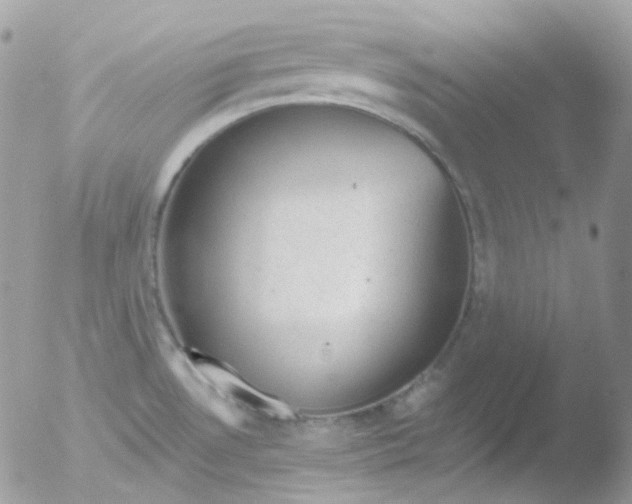 X0000051891530200507151925