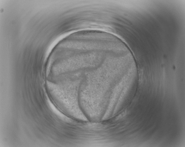 X0000051891531200507151925