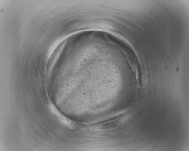 X0000051891532200507151925