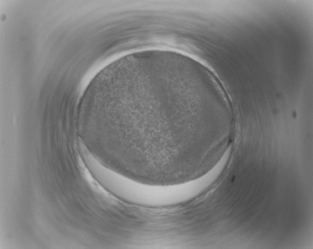 X0000051891534200507151925