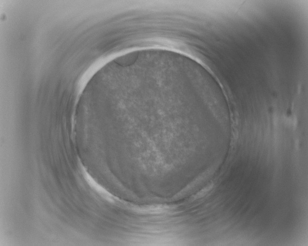 X0000051891535200507151925