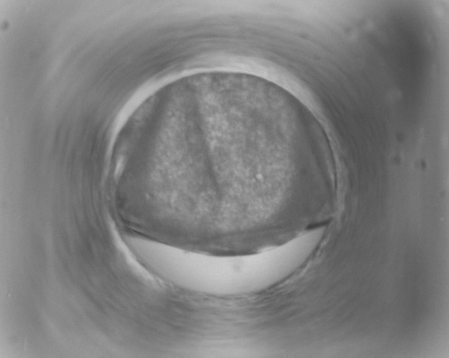 X0000051891536200507151925