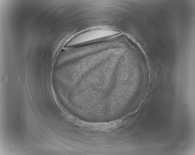 X0000051890001200507222028