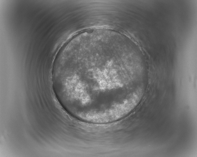 X0000051890002200507222028