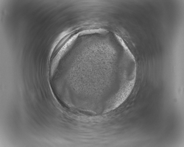 X0000051890003200507222028