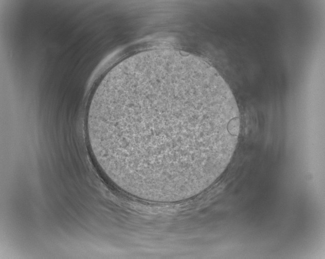 X0000051890004200507222028