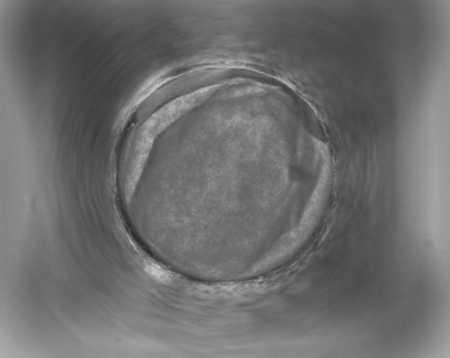 X0000051890005200507222028