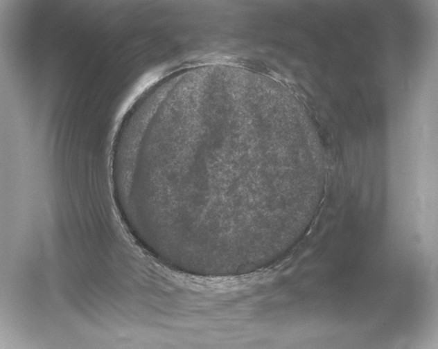 X0000051890006200507222028