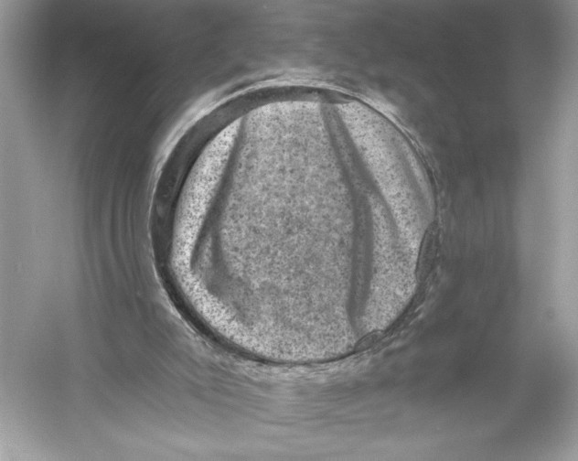 X0000051890007200507222028