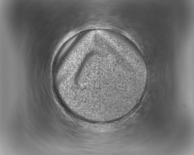 X0000051890008200507222028