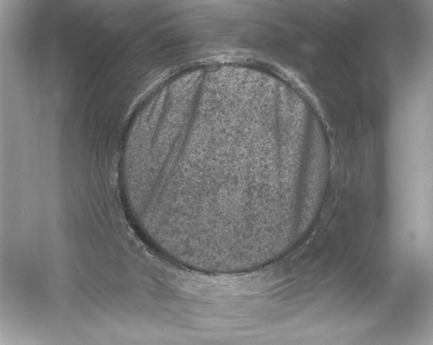 X0000051890010200507222028