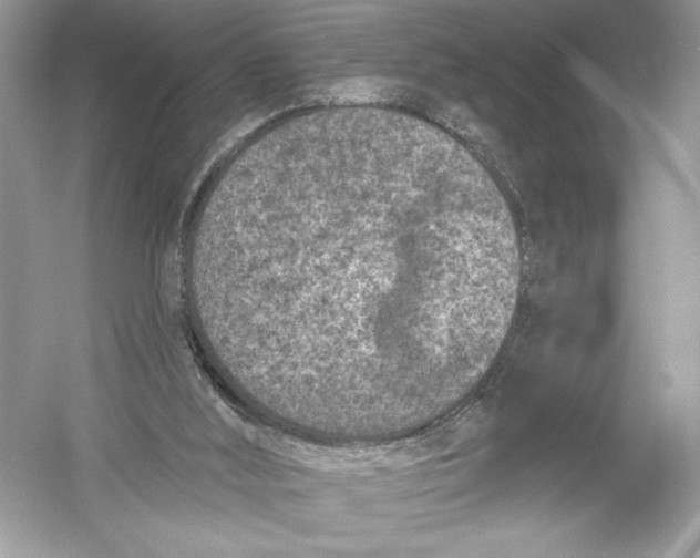 X0000051890012200507222028