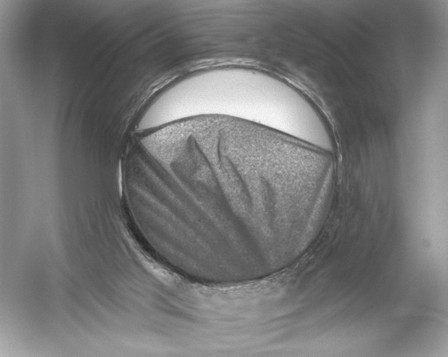 X0000051890013200507222028