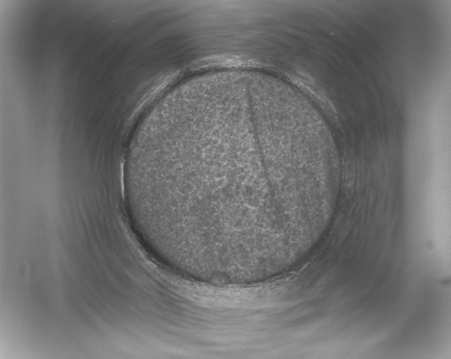 X0000051890014200507222028