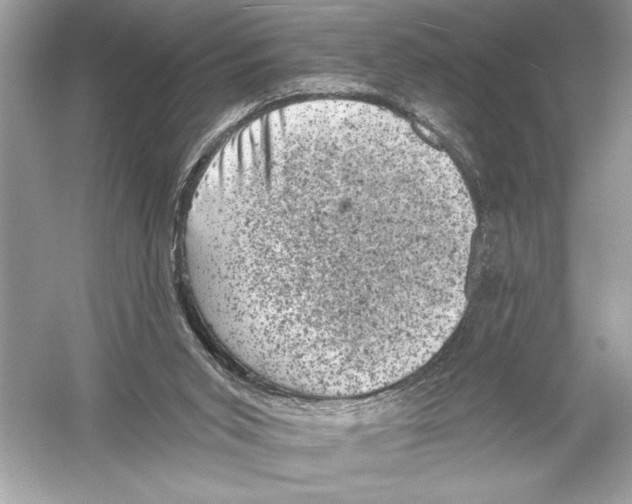 X0000051890015200507222028