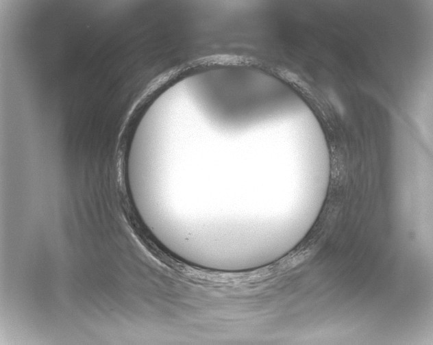 X0000051890016200507222028