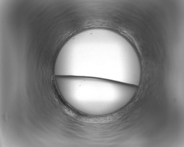 X0000051890017200507222028