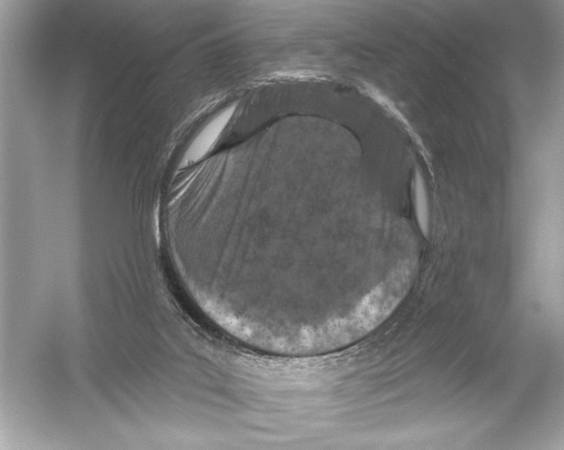 X0000051890019200507222028