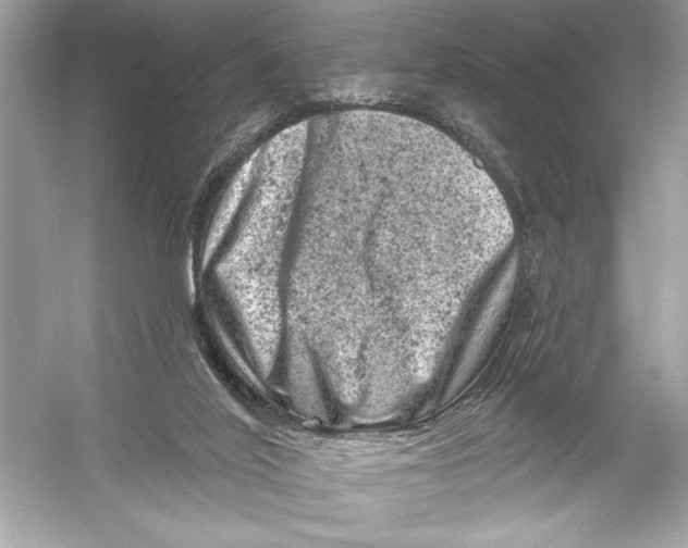 X0000051890020200507222028