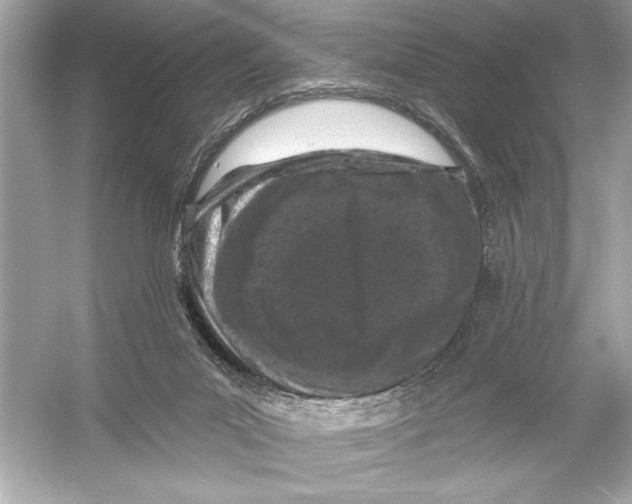 X0000051890023200507222027