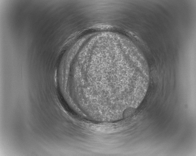 X0000051890024200507222027