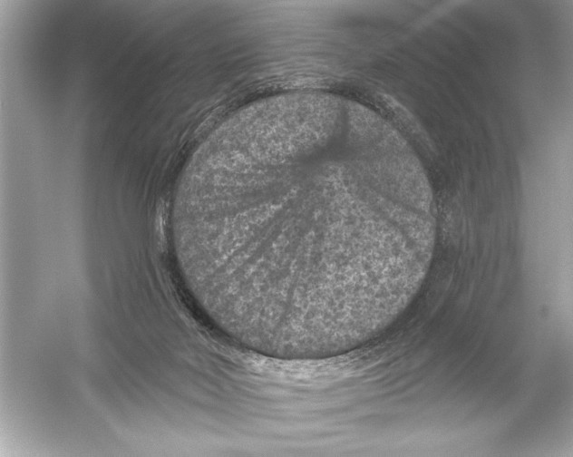 X0000051890026200507222027