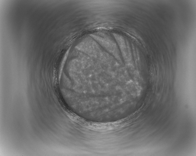 X0000051890029200507222027