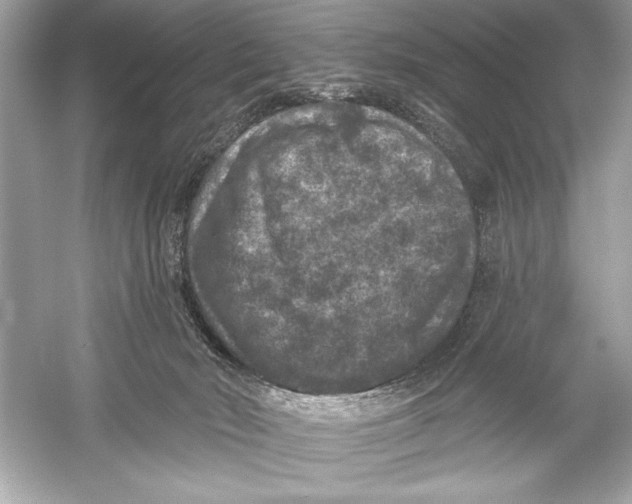 X0000051890030200507222027