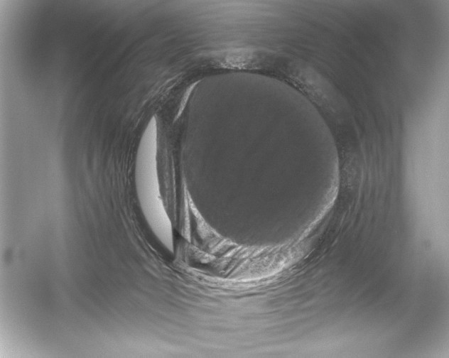 X0000051890031200507222027