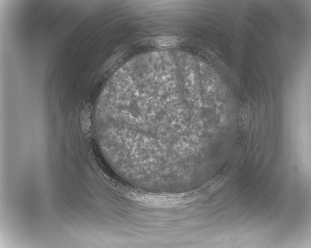 X0000051890032200507222027