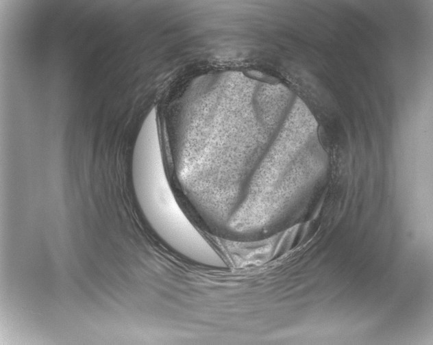 X0000051890033200507222027