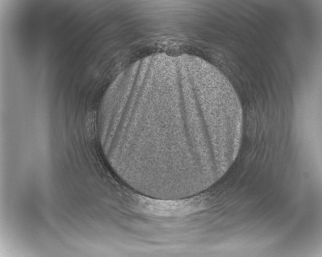 X0000051890034200507222027