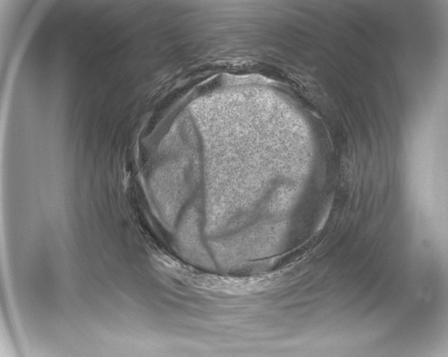 X0000051890037200507222027