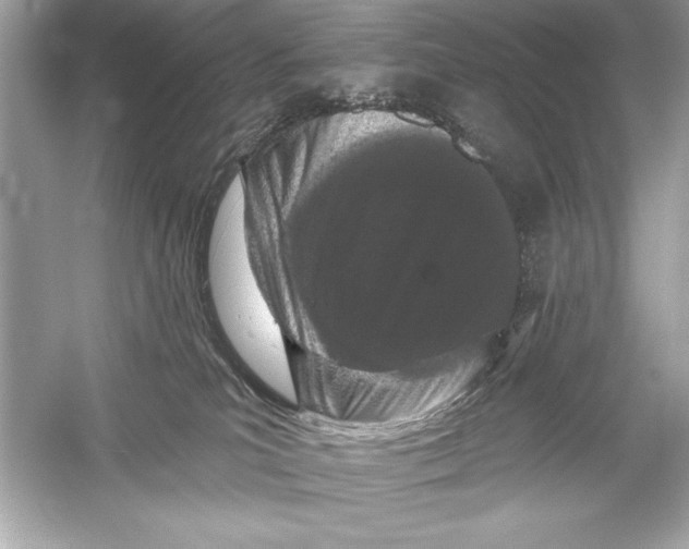 X0000051890039200507222027