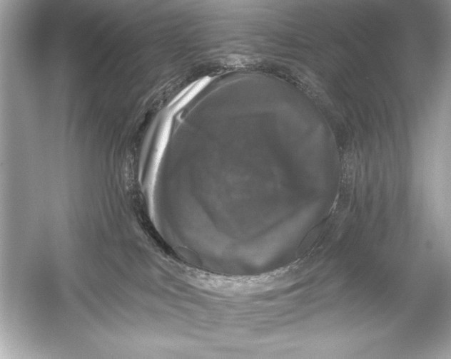 X0000051890043200507222027