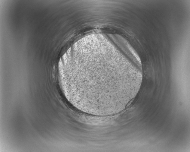 X0000051890044200507222027