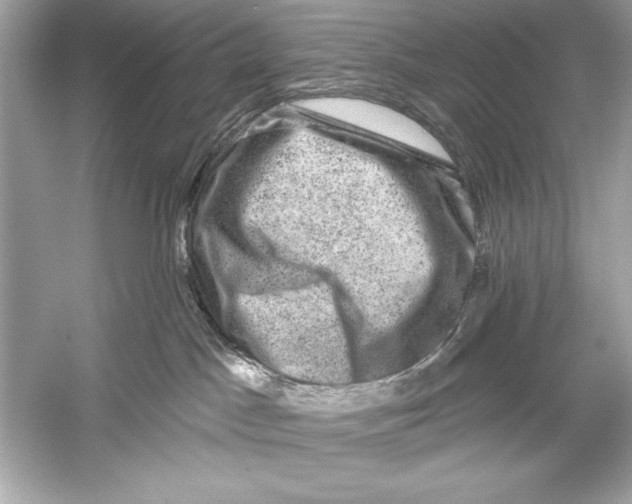 X0000051890045200507222027