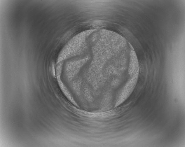 X0000051890046200507222027