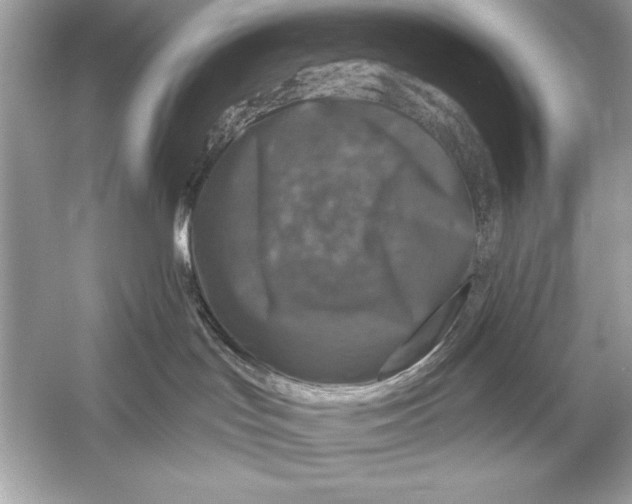 X0000051890047200507222027