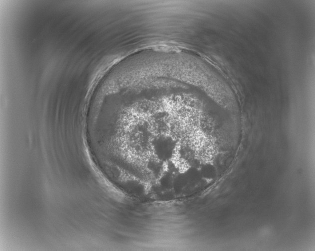 X0000051890049200507222026