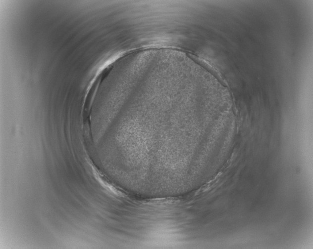 X0000051890050200507222026