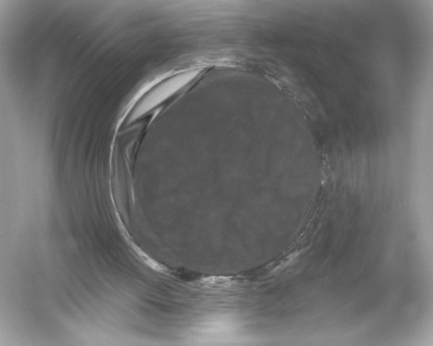 X0000051890052200507222026