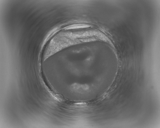 X0000051890053200507222026