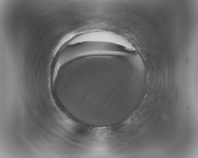 X0000051890054200507222026