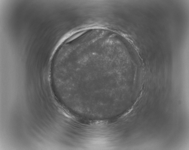 X0000051890056200507222026