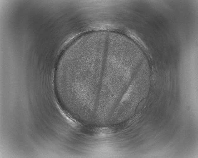 X0000051890058200507222026