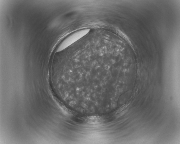 X0000051890059200507222026