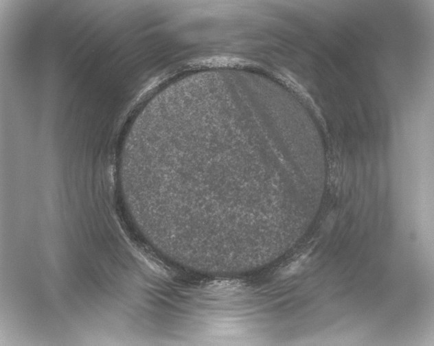 X0000051890063200507222026